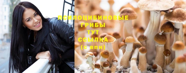 амфетамин Белокуриха