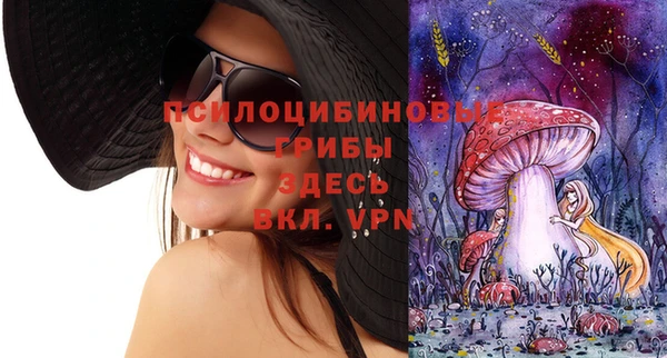 амфетамин Белокуриха