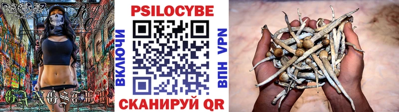 Галлюциногенные грибы Magic Shrooms  где продают   Кузнецк 